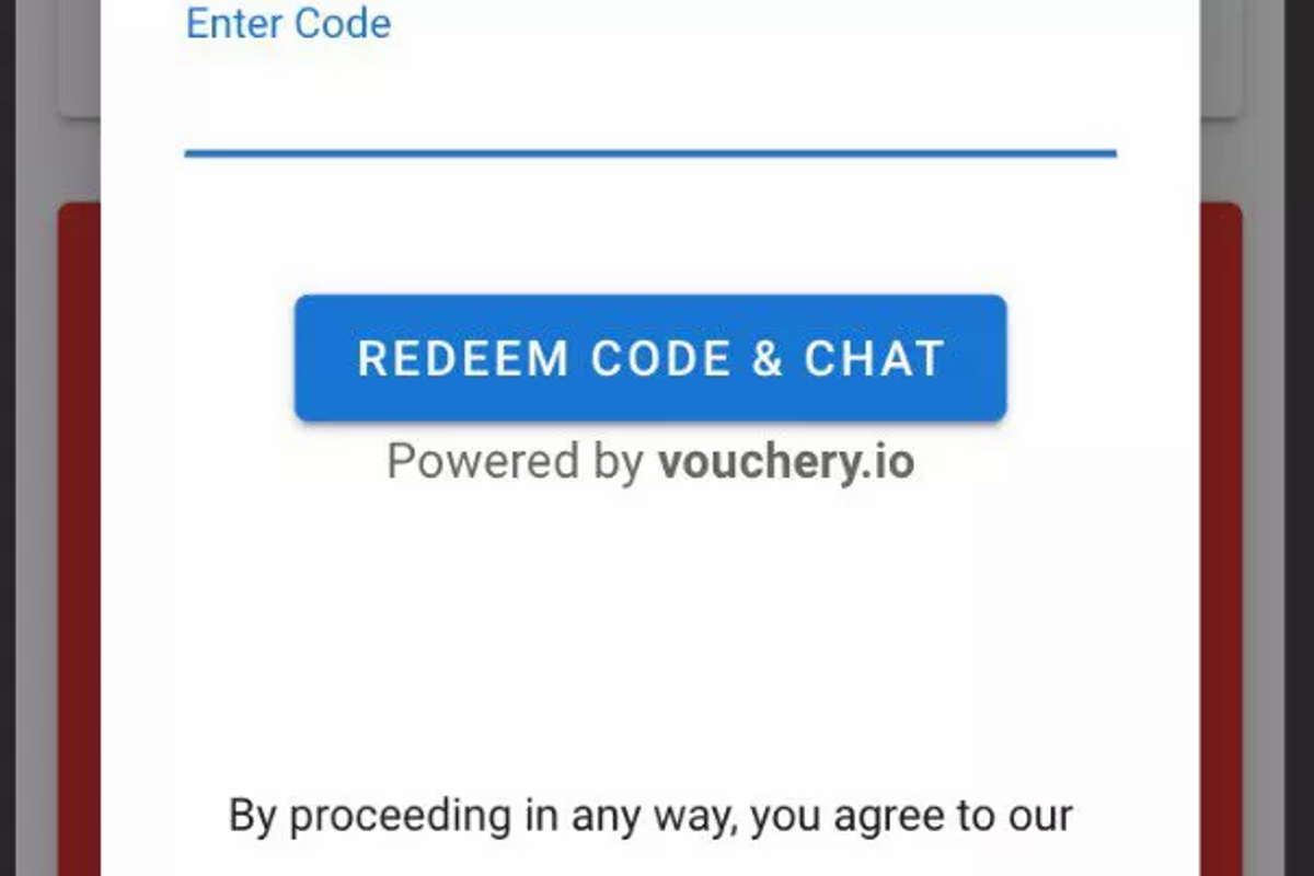 The various uses of online vouchers in Wellvis's operations